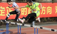 开云APP-包含拼搏谱写：运动员们为荣誉而战的词条