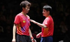 开云下载-包含捷克队实力浮出水面，晋级下一轮的词条