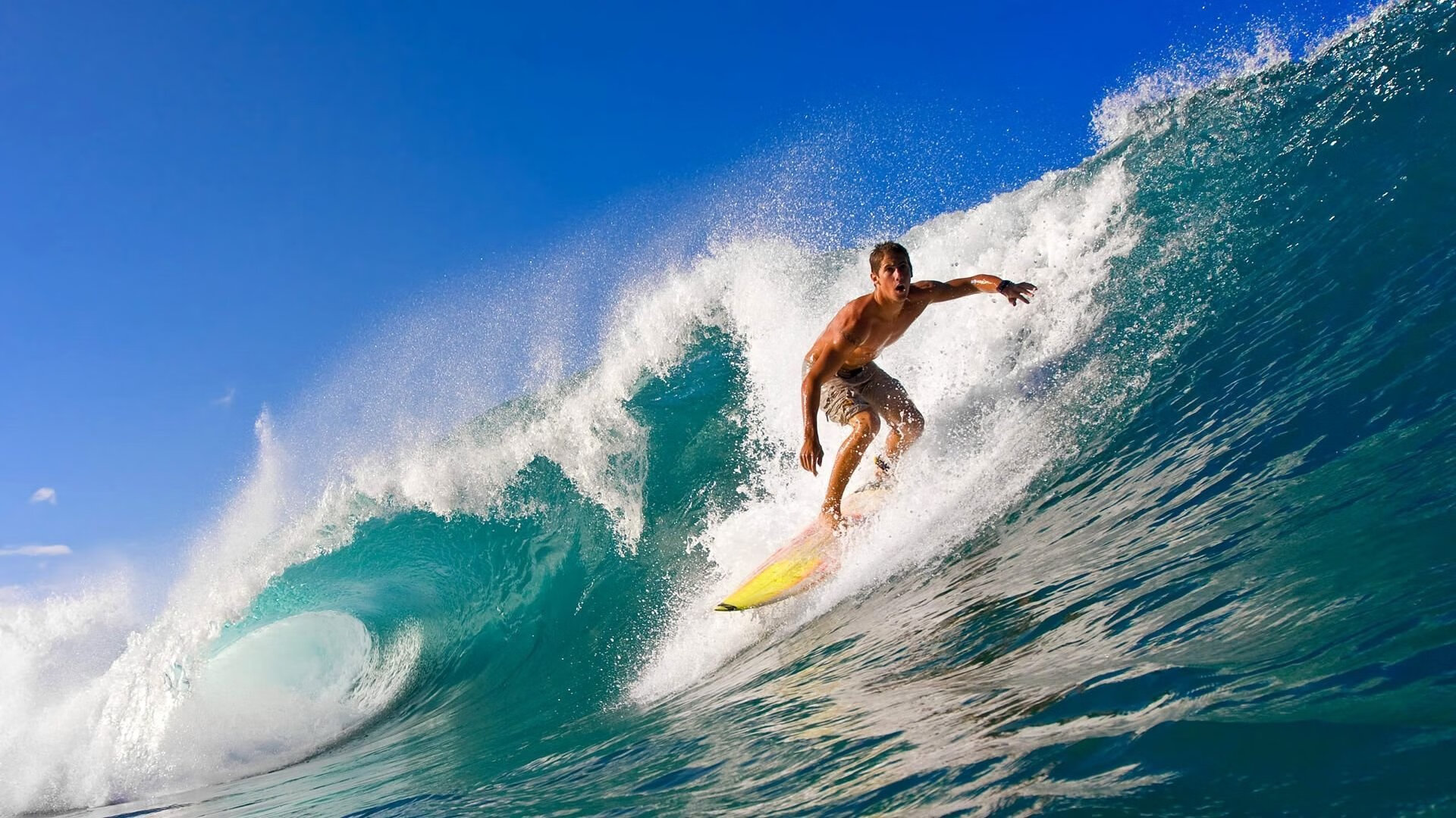 萨拉赫惊艳四座，突尼斯战术压制拜仁，一场颠覆预期的足球盛宴